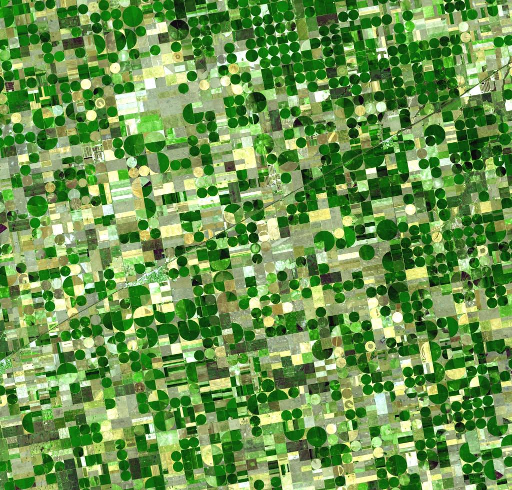 Satellite image of crops in Kansas on center-pivot irrigation farms. (Wikipedia Commons, 2006)  