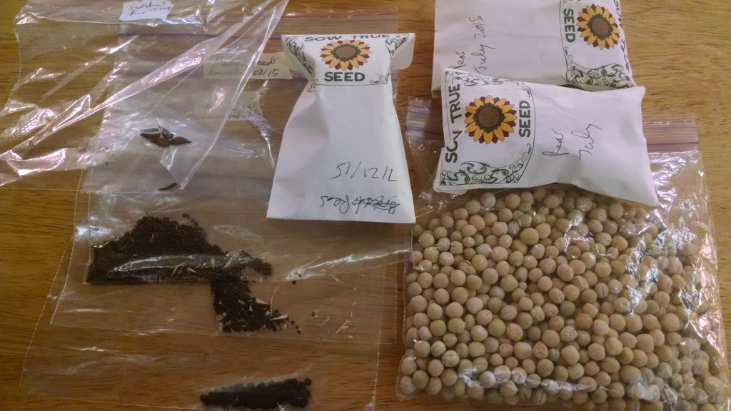 IMG_20150817_182913727