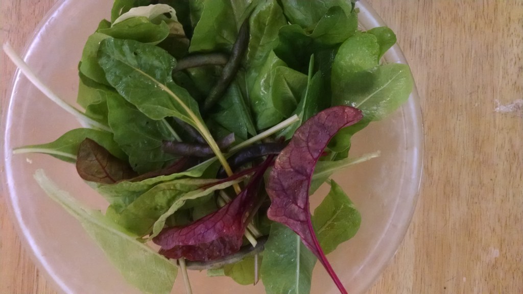 IMG_20150817_183255310 (1)