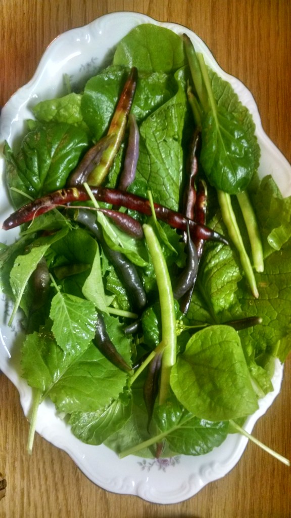 IMG_20150828_171517574_HDR