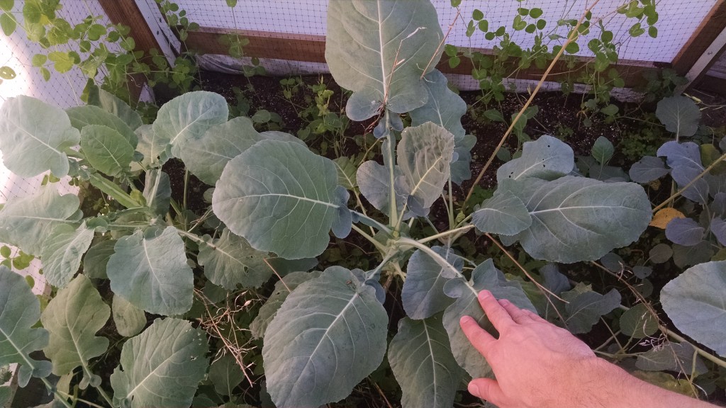 IMG_20150920_172642127