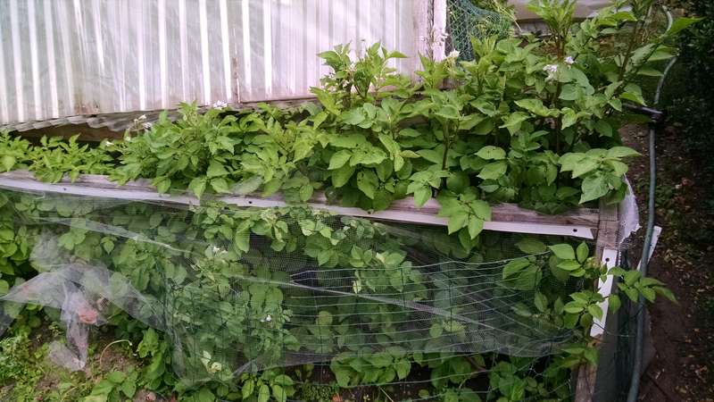 338991799478_149810237306497