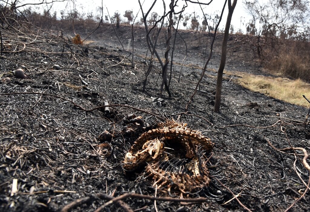Otuquis National Park in eastern Bolivia